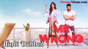 Mr Wrong [Turkish Drama] in Urdu Hindi Dubbed – Complete – DramaNitam