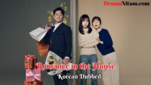 Romance in the House (Hindi Dubbed) | Complete | DramaNitam