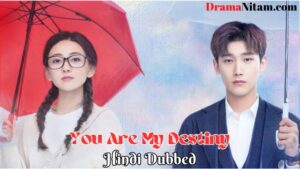 You Are My Destiny [Chinese Drama] in Urdu Hindi Dubbed – Complete – DramaNitam