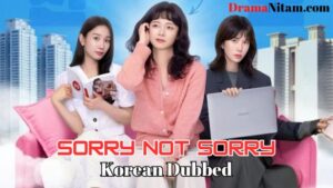 Sorry Not Sorry (Korean Dubbed) | Complete | DramaNitam